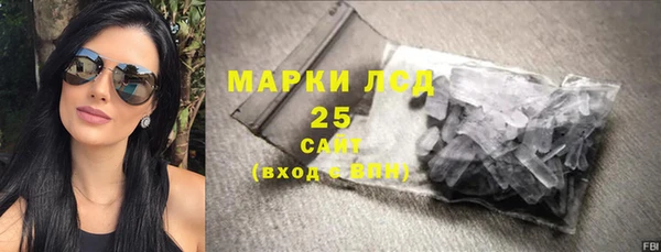 шишки Беломорск
