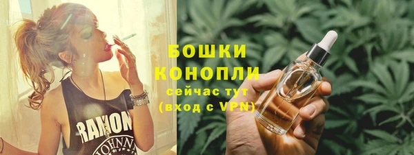 соль ск Белокуриха