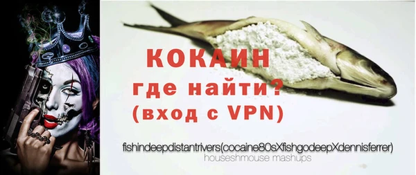 шишки Беломорск