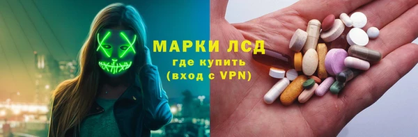 шишки Беломорск
