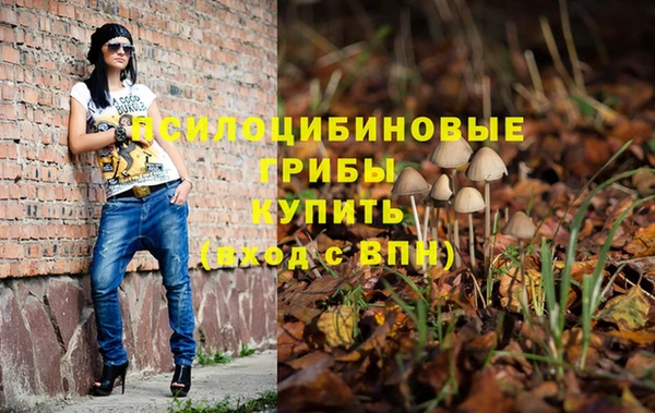 соль ск Белокуриха