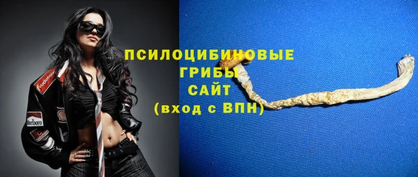 шишки Беломорск