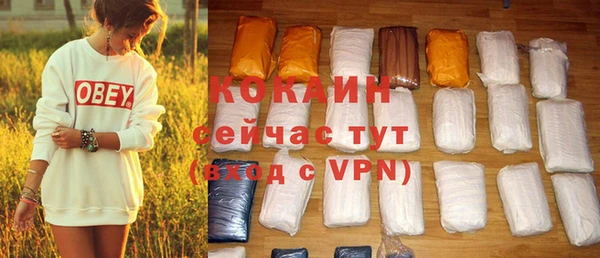 соль ск Белокуриха