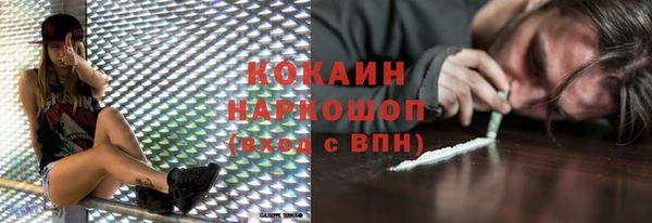 шишки Беломорск