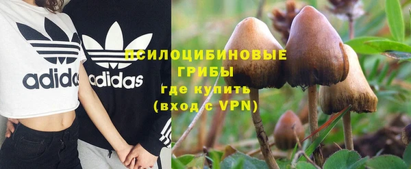 шишки Беломорск