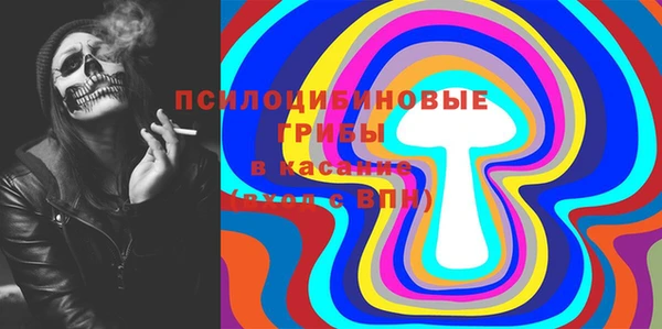 соль ск Белокуриха