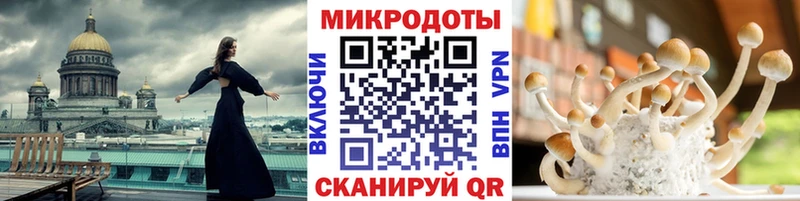 Псилоцибиновые грибы MAGIC MUSHROOMS Волчанск
